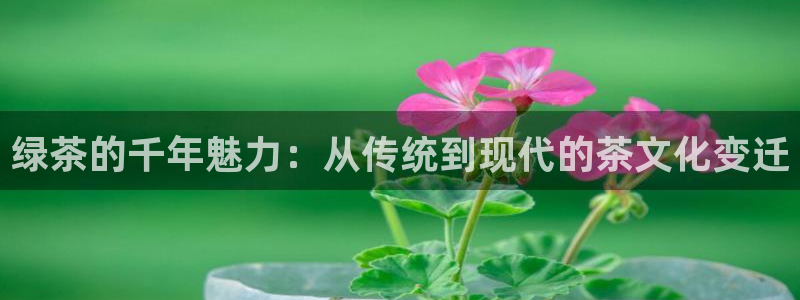 鸿运当头平台