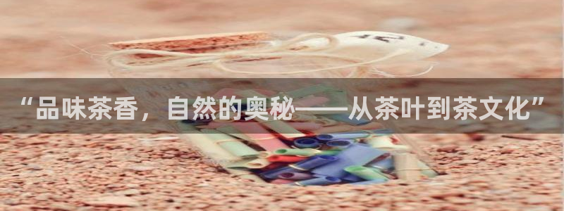 鸿运食品团购平台