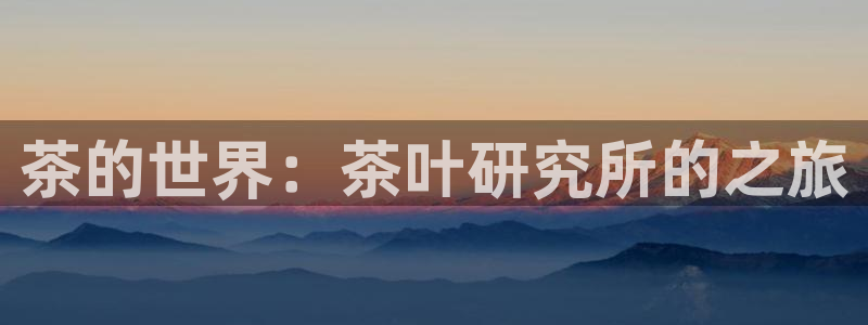 鸿运网938777平台