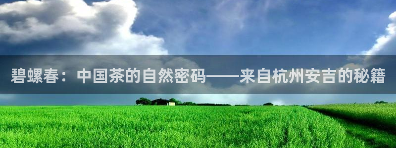 鸿运权威彩票平台
