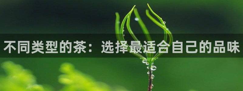 鸿运阿姨直播平台