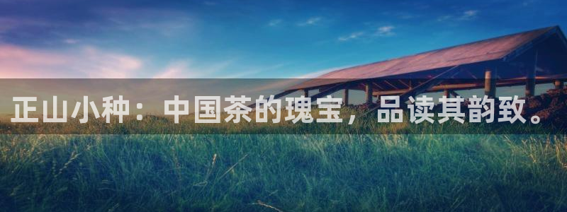 鸿运通平台客服