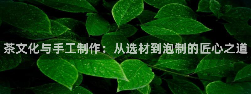 鸿运网938777平台