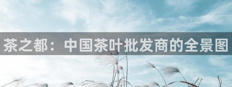 鸿运商滴管理平台