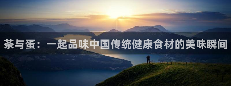 鸿运供应管理平台