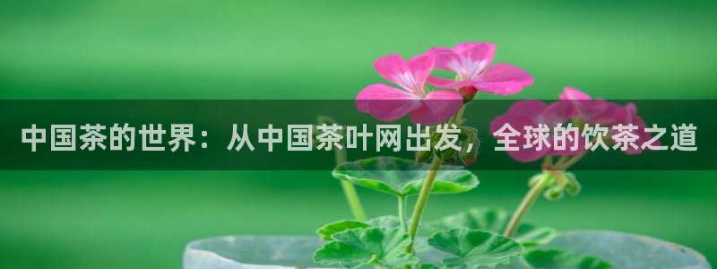 鸿运宝理财平台