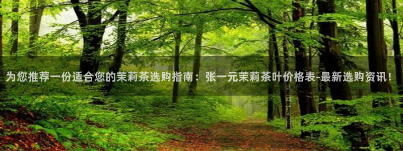 鸿运平台进入