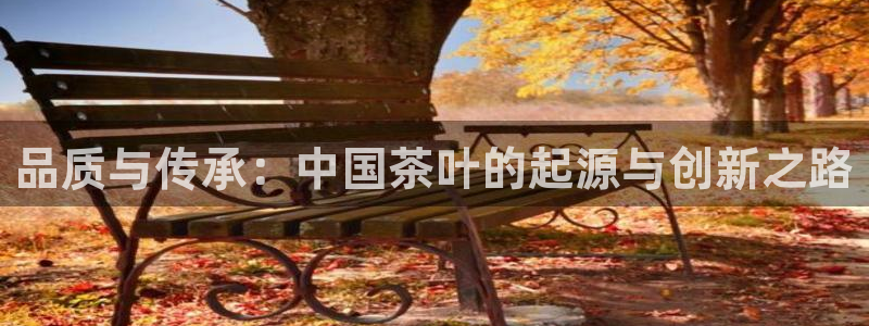 鸿运仓储直播平台