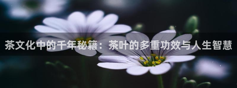 鸿运彩票平台怎样