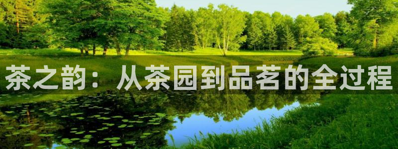 鸿运购是什么平台