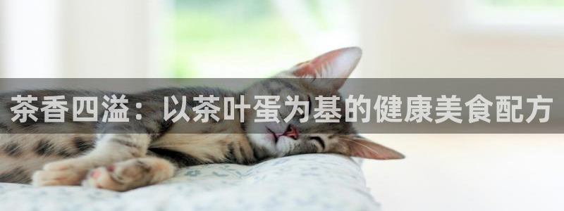 鸿运防水服务平台