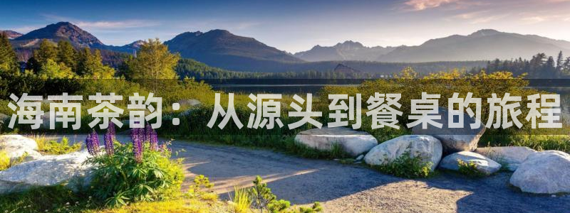 鸿运彩票平台怎样