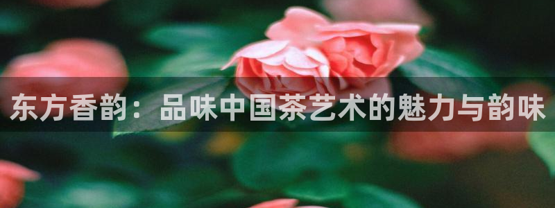 鸿运满堂网上平台