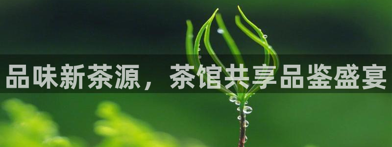 鸿运东方平台网站