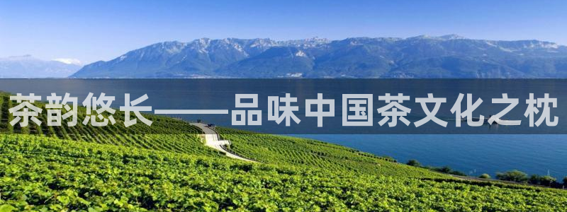 九九鸿运平台