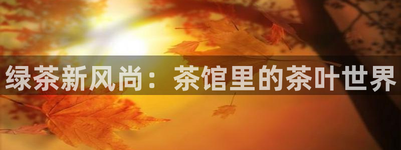 鸿运链锁管理平台