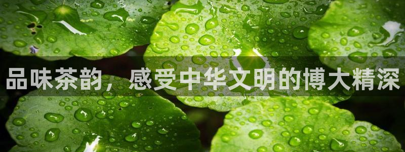 鸿运赌场平台