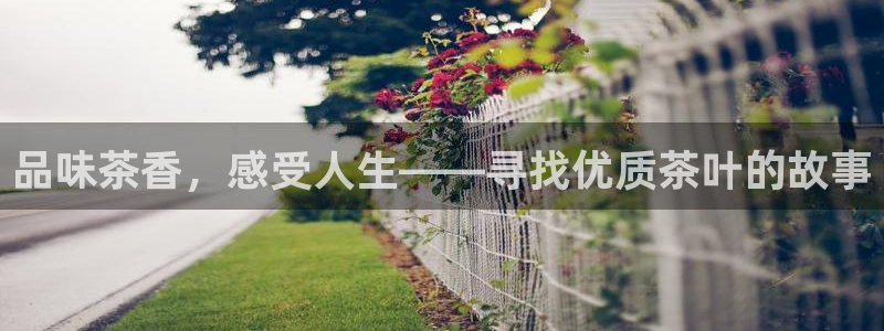 鸿运宝金融投资平台