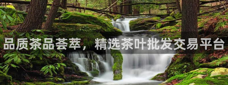 鸿运体育平台网址