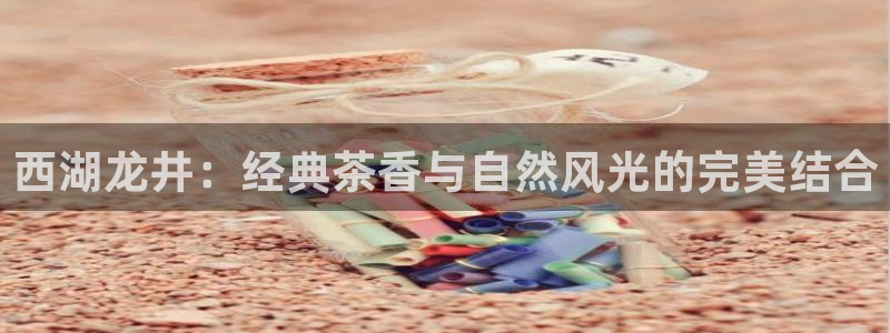 鸿运最新平台
