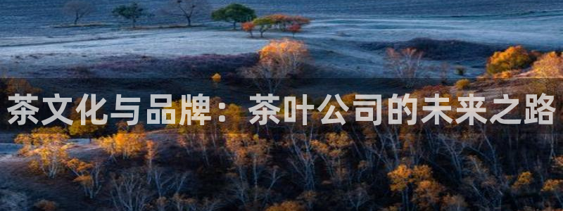 鸿运商滴管理平台