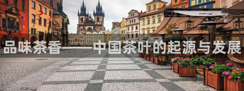 鸿运采平台
