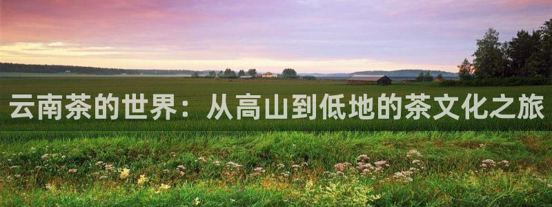 鸿运pc平台