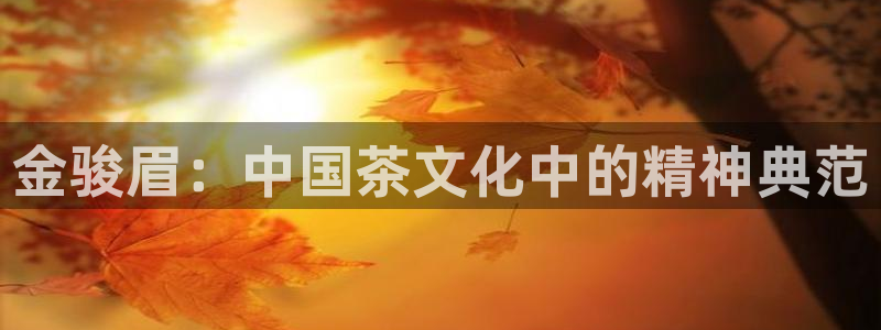 鸿运卡盟平台